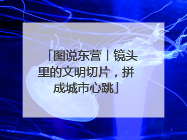 图说东营丨镜头里的文明切片，拼成城市心跳